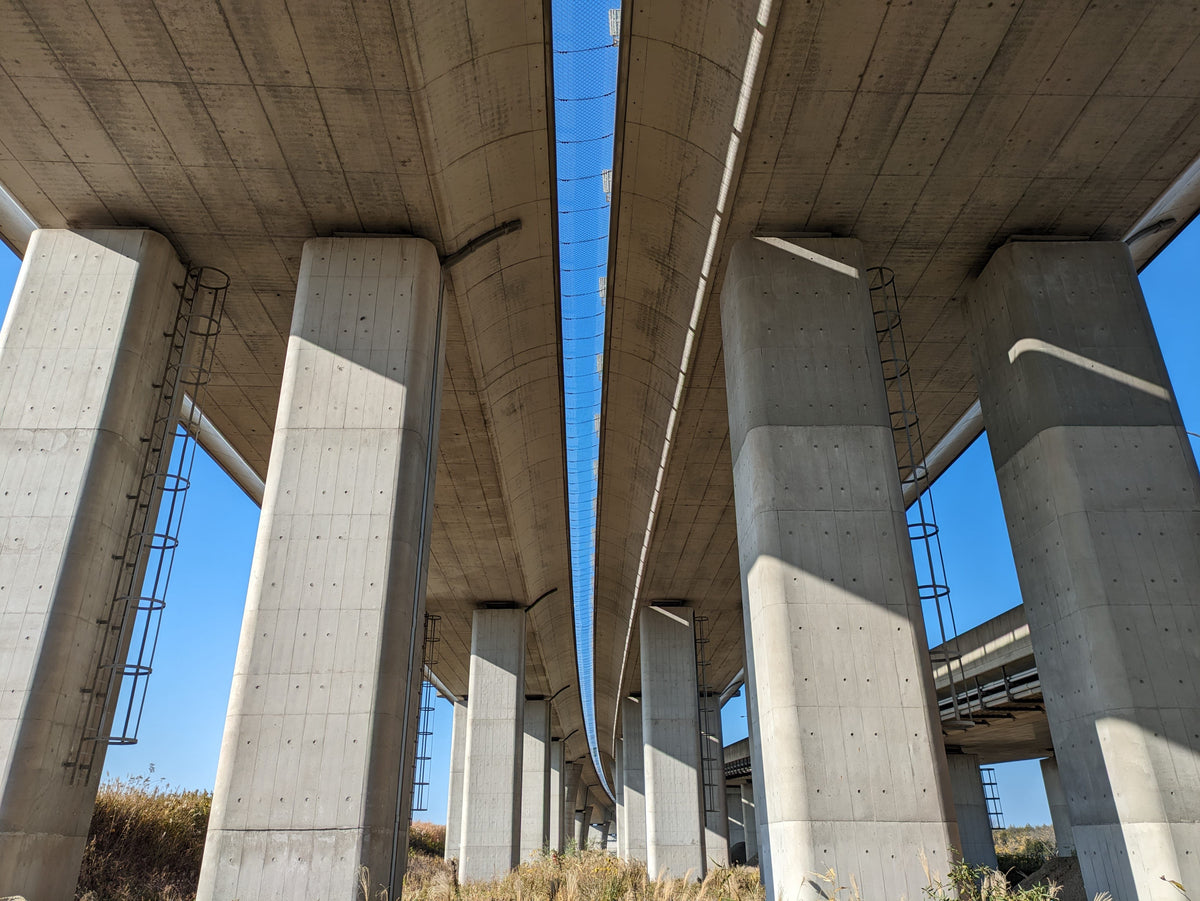Vue en contre-plongée de piliers en béton sous un viaduc, avec un ciel bleu et des herbes sèches au sol.