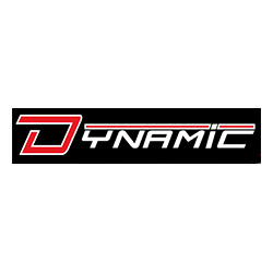 dynamic-securite-logo